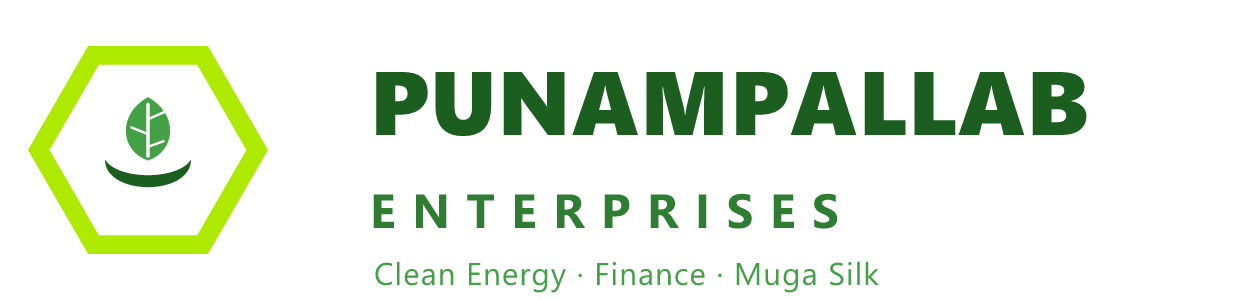 Punampallab Enterprises